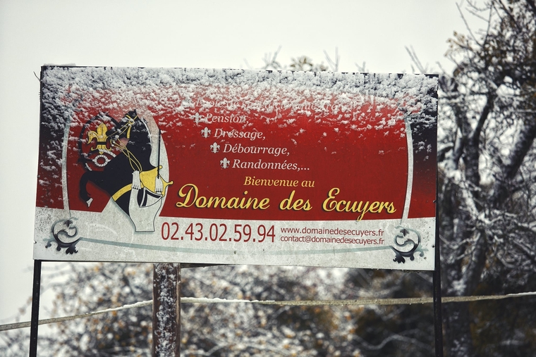 Le Domaine des Ecuyers, spectacles équestres