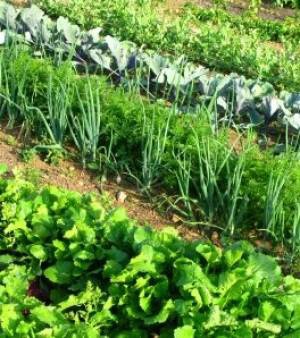 Un mois aux Philippines - Ulule