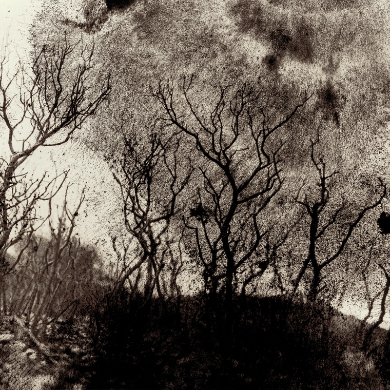 Toutes les heures blessent - Ulule