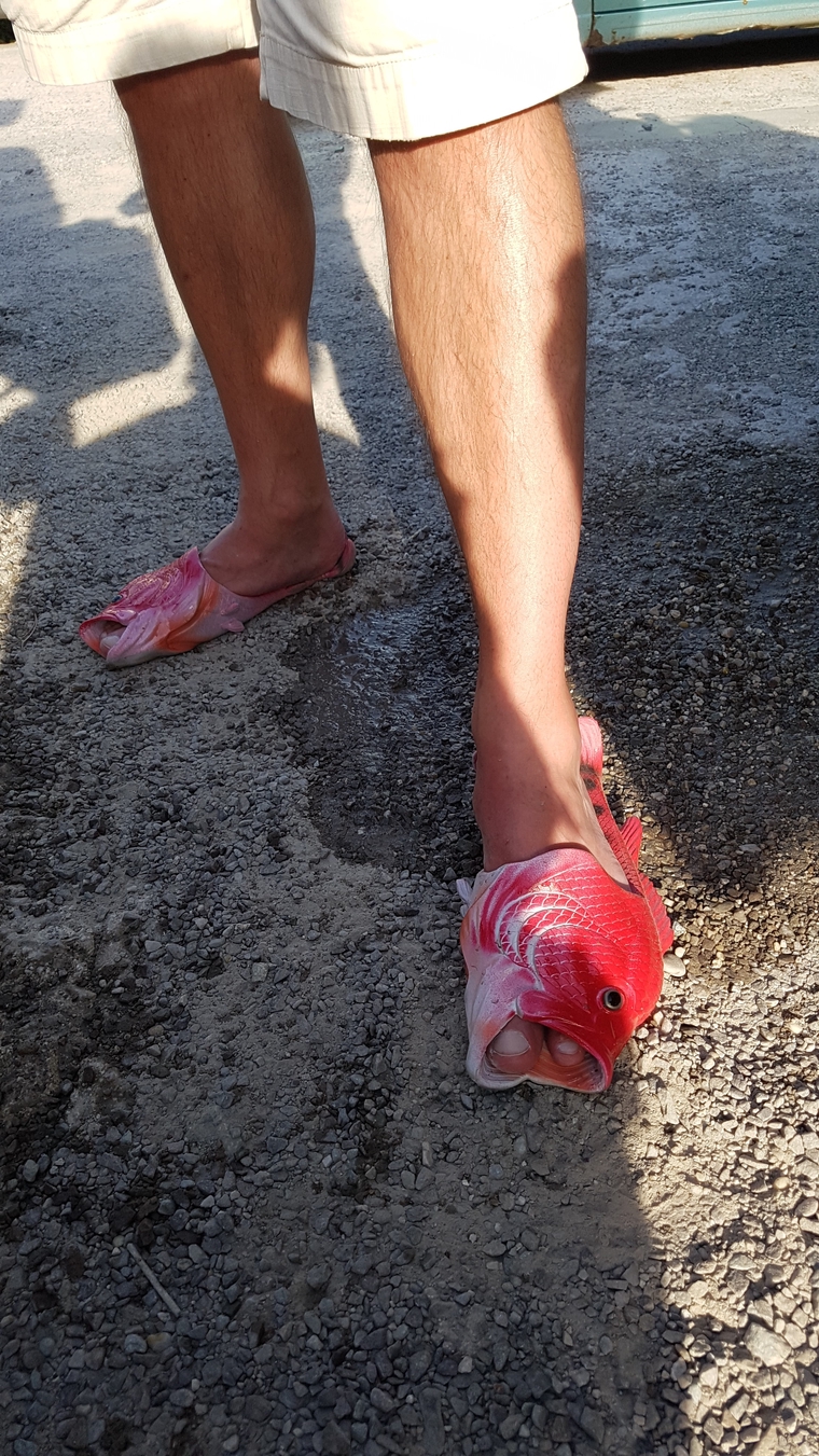 Le Destin des Runes, une saga viking - Ulule