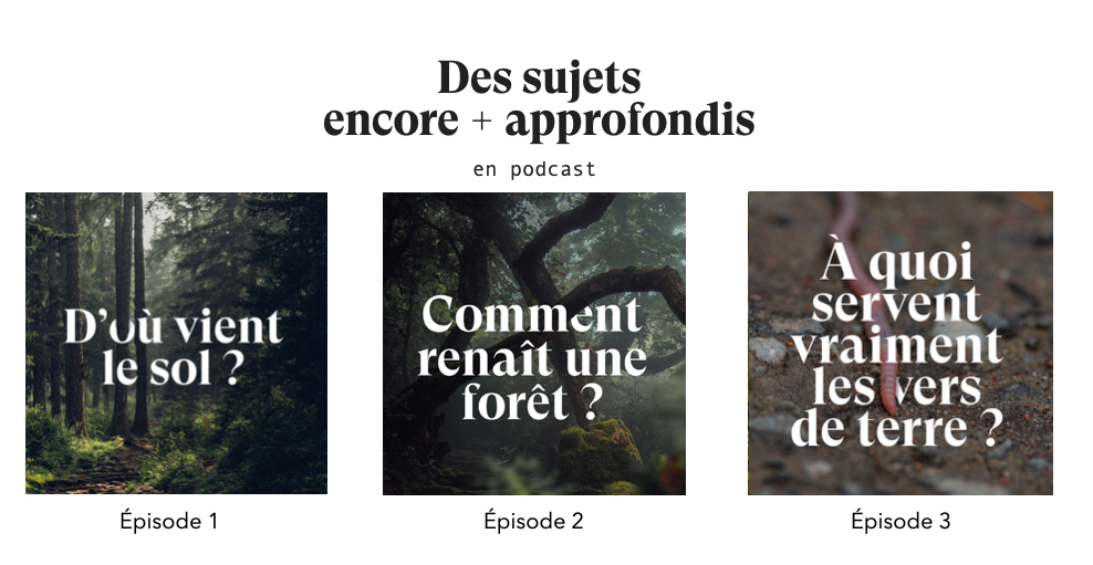 10 minutes pour comprendre le vivant