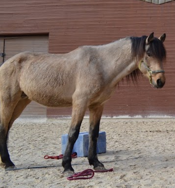 Valentin à son arrivée