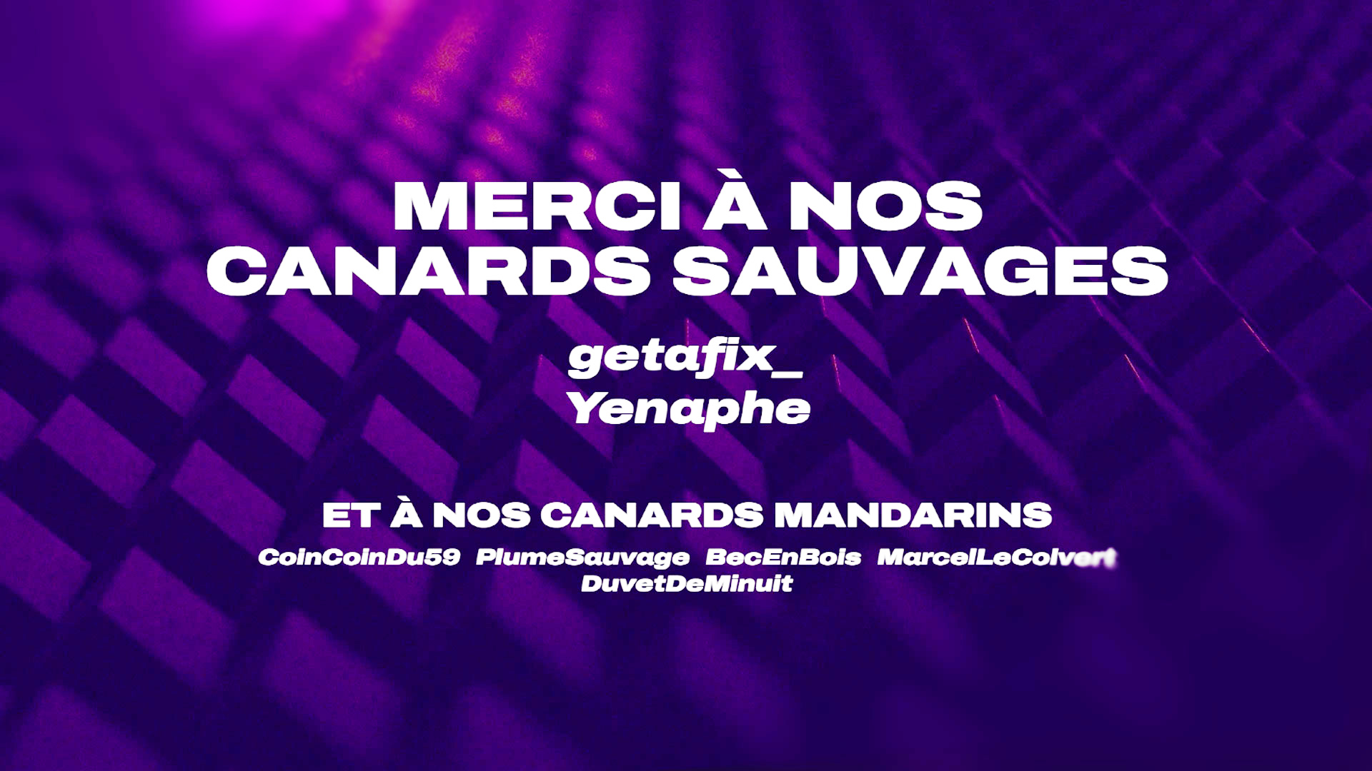 MERCI À NOS CANARDS SAUVAGES getafix_ Yenaphe ET À NOS CANARDS MANDARINS CoinCoinDu59 PlumeSauvage BecEnBois MarcelLeColvert DuvetDeMinuit