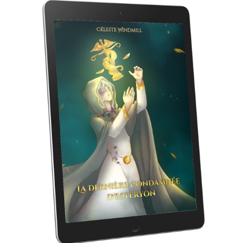 WINDMILL CONDAMNEE DT STERYON