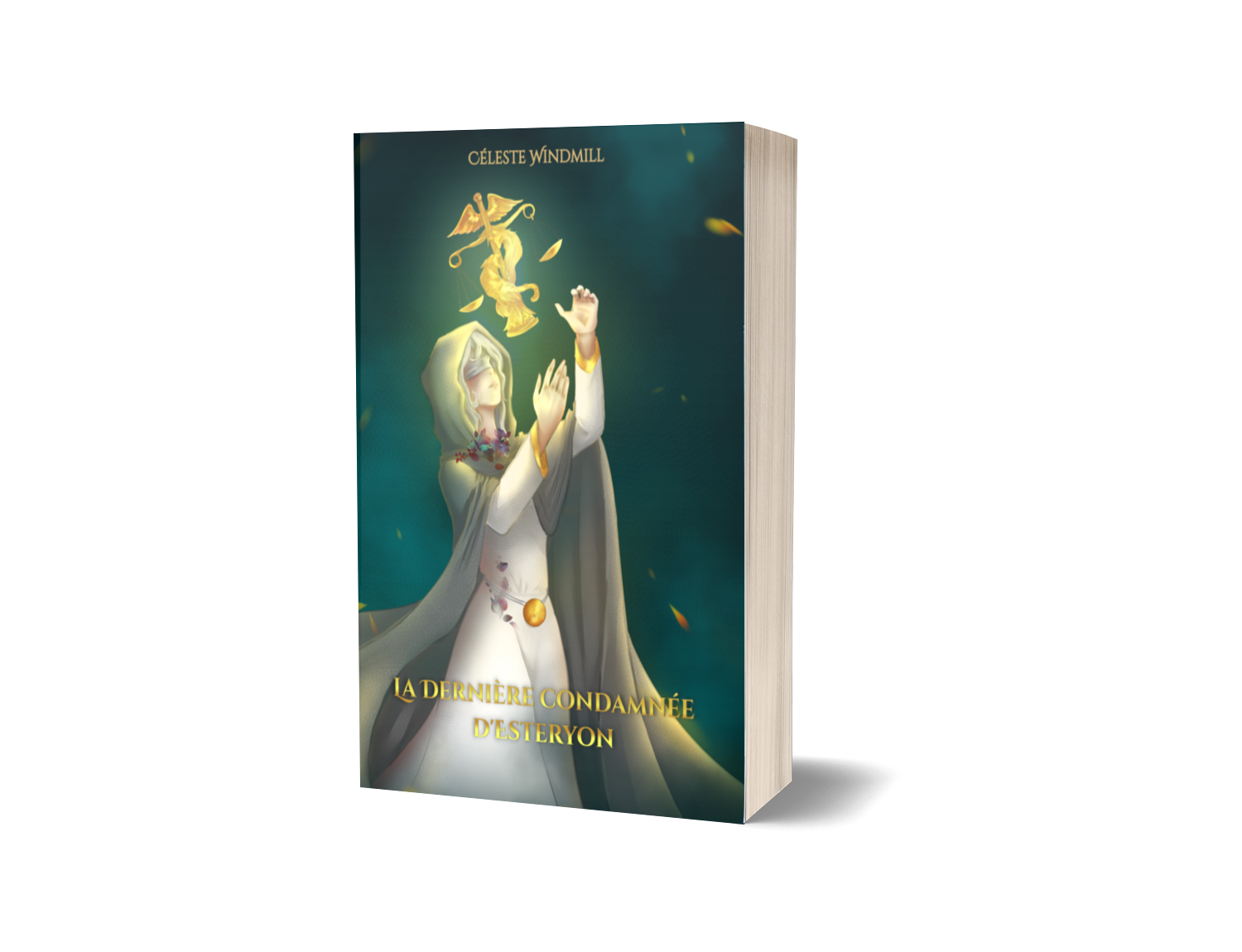 WINDMILL DERNIÈRE CONDAMNÉE D'ESTERYON