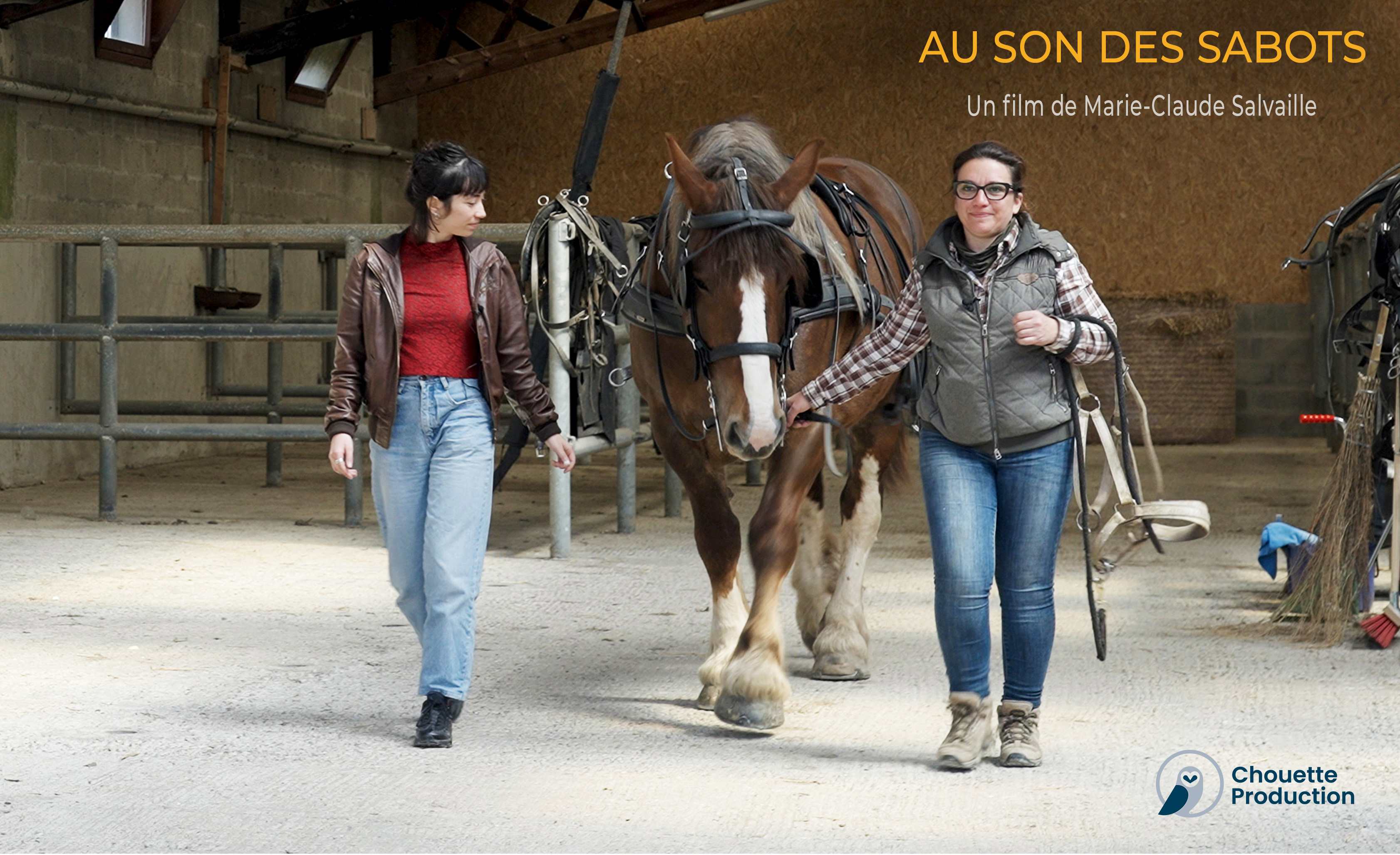 Morgan Cheval Au son des sabots en tournée en Bretagne - Ulule