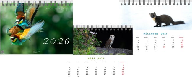 Calendrier Mural 2026 Vie Sauvage - 30x60cm - Photos Animaux - Multilingue - Papier Épais 140g
