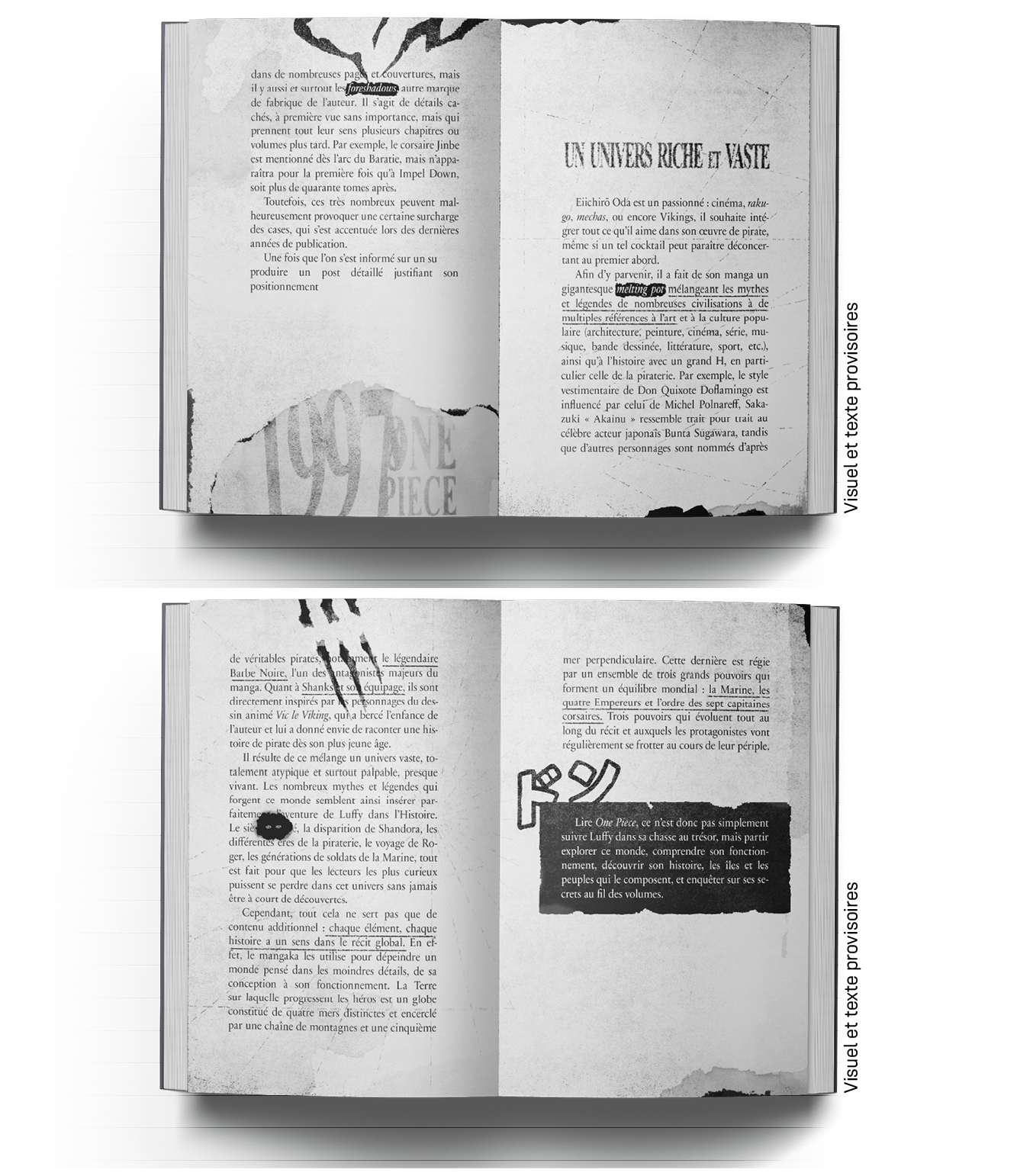 One Piece : l'art de raconter une histoire - Ulule