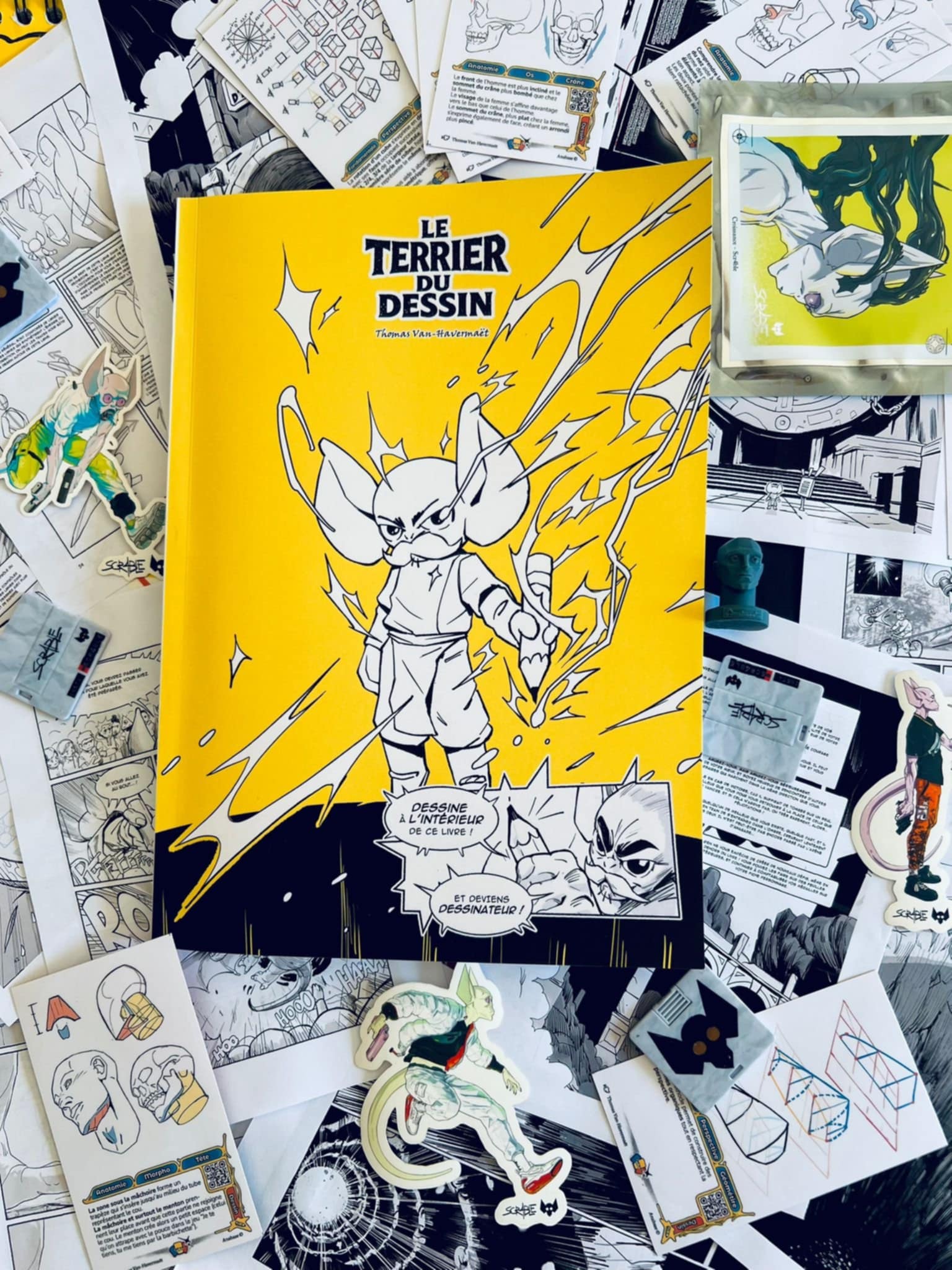 Le MMA Ne S'apprend Pas Dans Un Livre