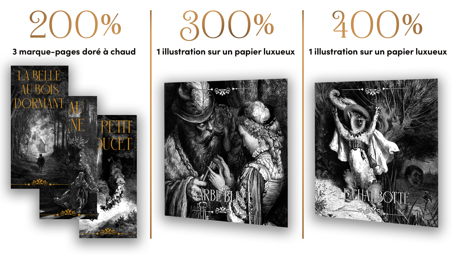 🌹 La Belle au bois dormant & autres contes 🌹 - Ulule