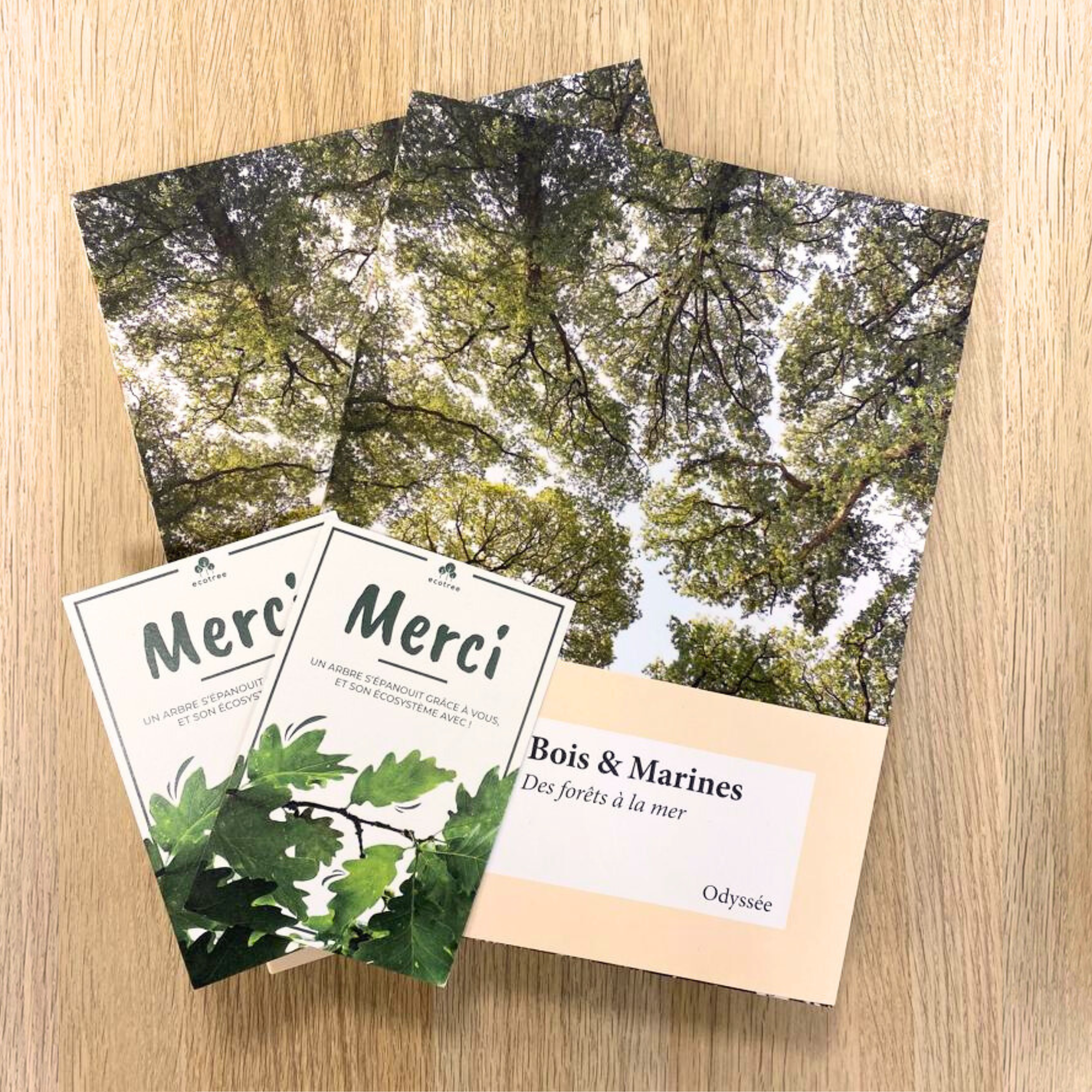 2 livres 📗📗+ 2 arbres 🌲🌲