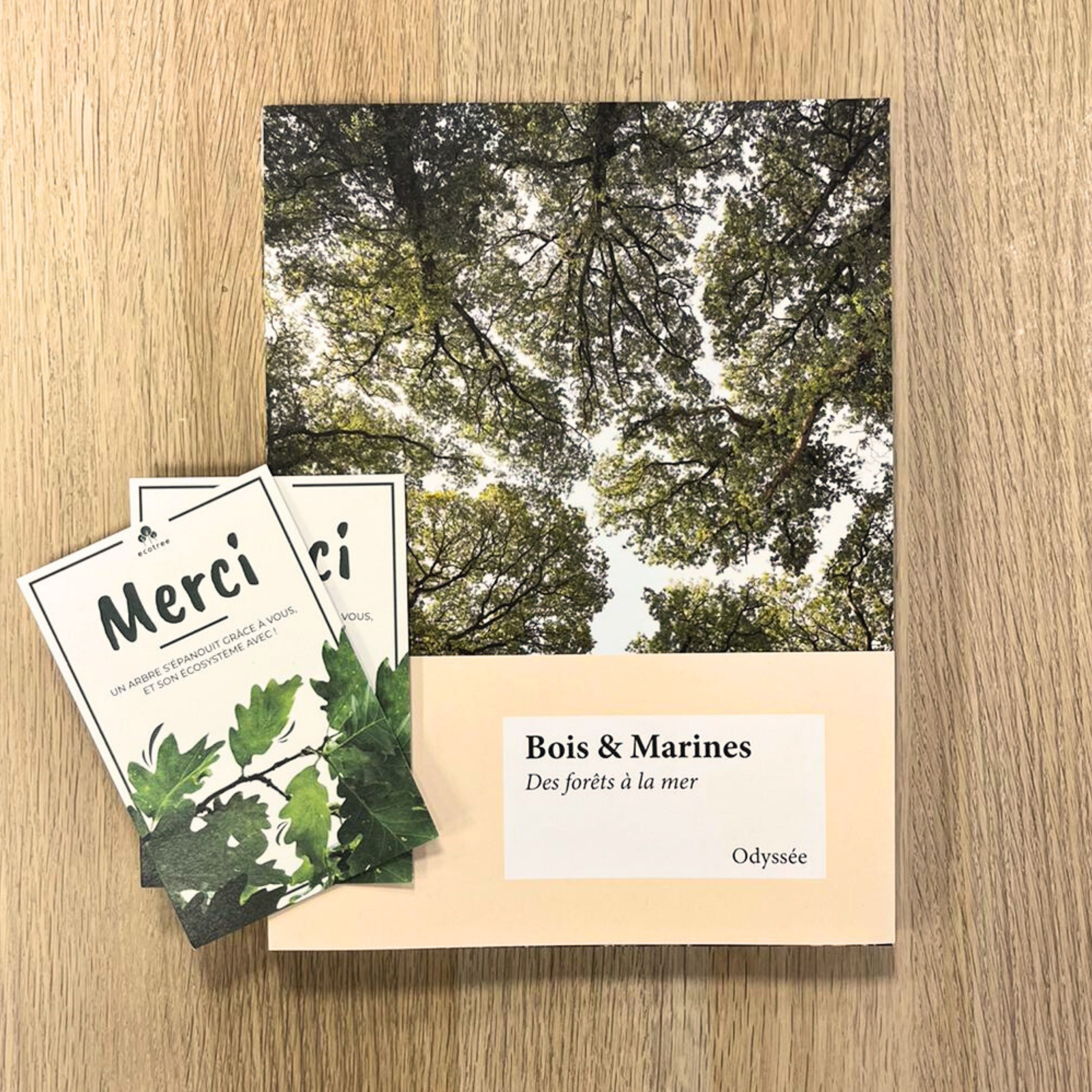 1 livre📗 + 2 arbres 🌲🌲
