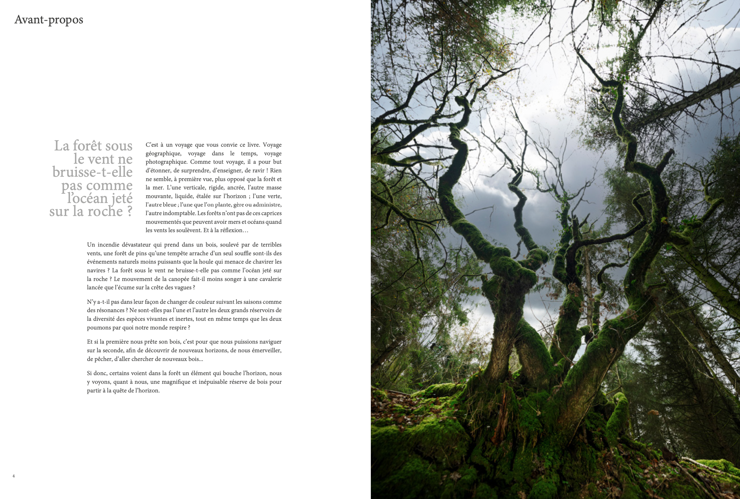 nt-propos La forêt sous C'est à un voyage que vous convie ce livre. Voyage le vent ne géographique, voyage dans le temps, voyage photographique. Comme tout voyage, il a pour but bruisse-t-elle d'étonner, de surprendre, d'enseigner, de ravir ! Rien ne semble, à première vue, plus opposé que la forêt et pas comme la mer. L'une verticale, rigide, ancrée, l'autre masse l'océan jeté mouvante, liquide, étalée sur l'horizon ; l'une verte, sur la roche ? l'autre bleue ; l'une que l'on plante, gère ou administre, l'autre indomptable. Les forêts n'ont pas de ces caprices mouvementés que peuvent avoir mers et océans quand les vents les soulèvent. Et à la réflexion.. Un incendie dévastateur qui prend dans un bois, soulevé par de terribles vents, une forêt de pins qu'une tempête arrache d'un seul souffle sont-ils des événements naturels moins puissants que la houle qui menace de chavirer les navires ? La forêt sous le vent ne bruisse-t-elle pas comme l'océan jeté sur la roche ? Le mouvement de la canopée fait-il moins songer à une cavalerie lancée que l'écume sur la crête des vagues ? N'y a-t-il pas dans leur façon de changer de couleur suivant les saisons comme des résonances ? Ne sont-elles pas l'une et l'autre les deux grands réservoirs de la diversité des espèces vivantes et inertes, tout en même temps que les deux poumons par quoi notre monde respire ? Et si la première nous prête son bois, c'est pour que nous puissions naviguer sur la seconde, afin de découvrir de nouveaux horizons, de nous émerveiller, de pêcher, d'aller chercher de nouveaux bois... Si donc, certains voient dans la forêt un élément qui bouche l'horizon, nous y voyons, quant à nous, une magnifique et inépuisable réserve de bois pour partir à la quête de l'horizon.
