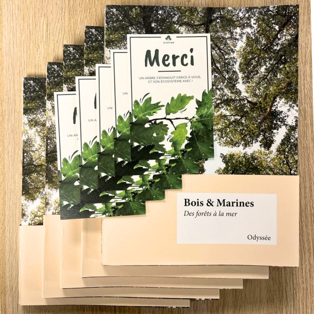 5 livres 📗📗📗📗📗+ 5 arbres🌲🌳🌲🌳🌲