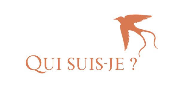 QUI SUIS-JE ?