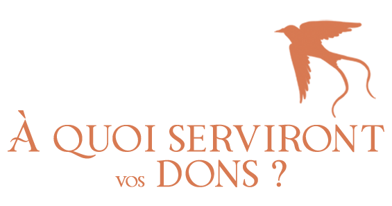 À QUOI SERVIRONT DONS ?