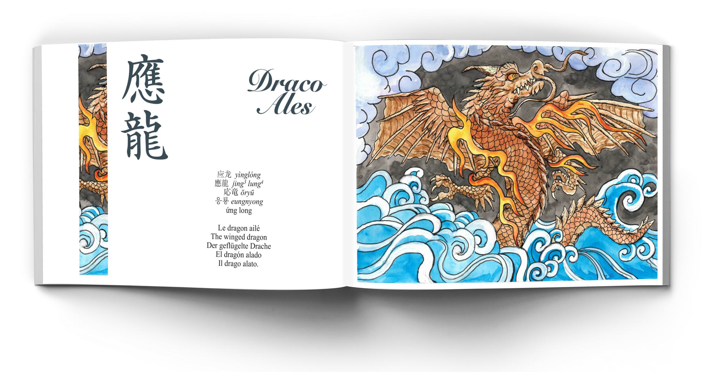 Draco Ales yinglong jing3 lung4 eungnyong long Le dragon ailé The winged dragon Der geflügelte Drache El dragón alado Il drago alato.