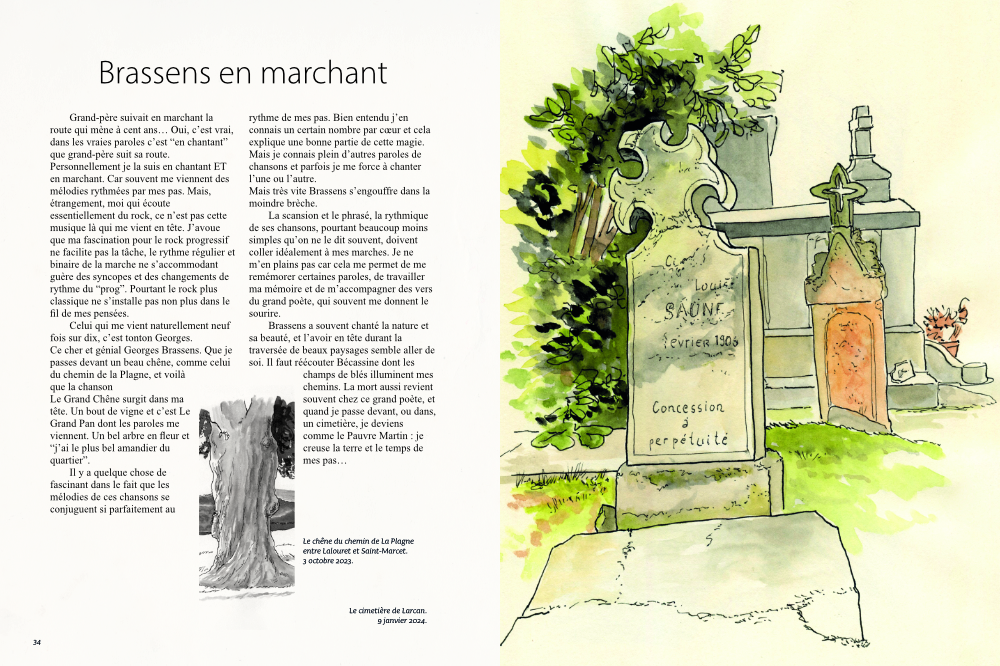 Les Chroniques Baladeuses en livre