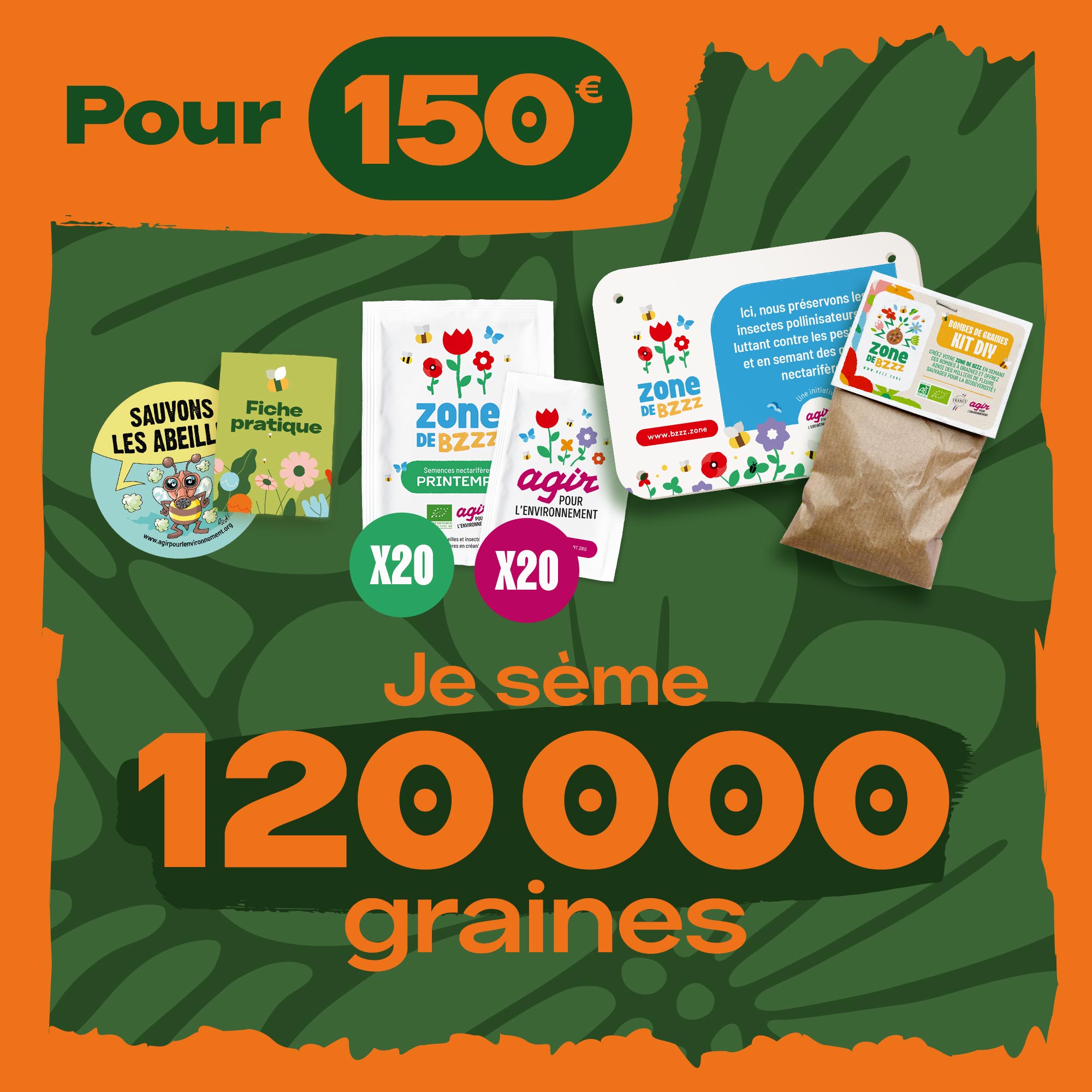 Graines De Maïs Nokihome - 3 Variétés Résistantes Maladies, Faciles à Cultiver