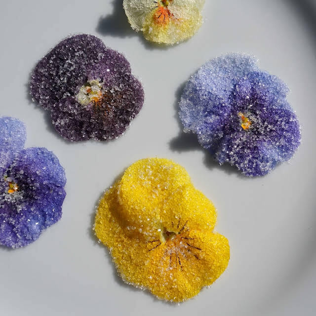 Recette fleurs cristallisées