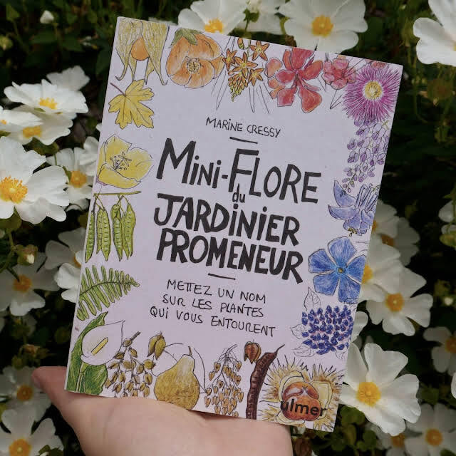 Guides sur les plantes