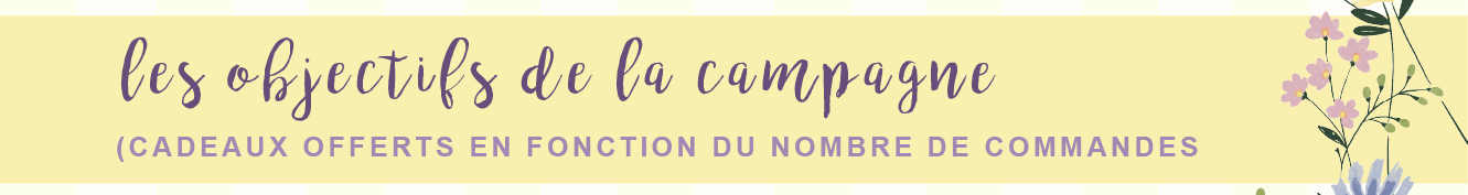 les objectifs de la campagne (CADEAUX OFFERTS EN FONCTION DU NOMBRE DE COMMANDES