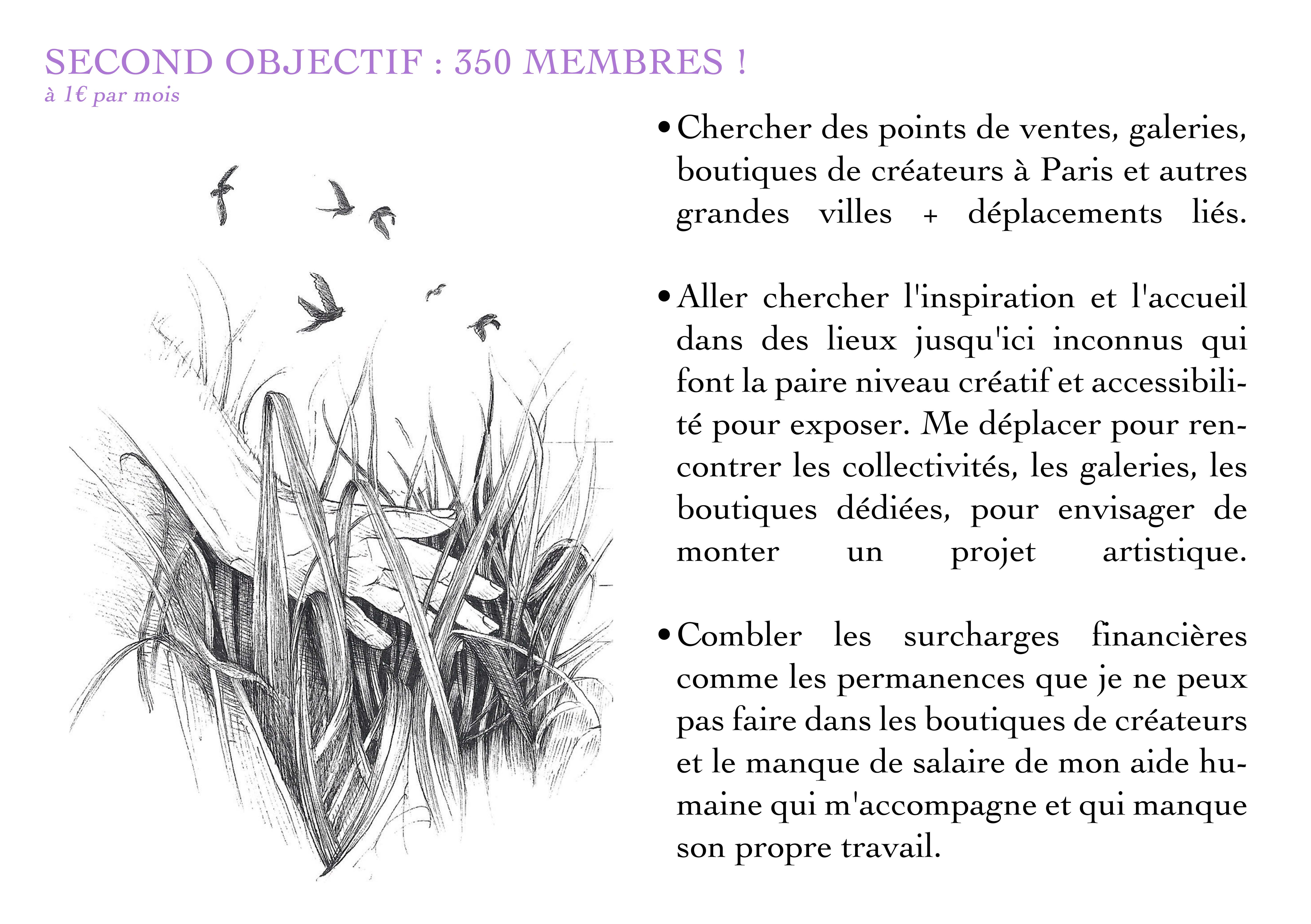 SECOND OBJECTIF : 350 MEMBRES ! à 1€ par mois Chercher des points de ventes, galeries, boutiques de créateurs à Paris et autres grandes villes + déplacements liés. Aller chercher l'inspiration et l'accueil dans des lieux jusqu'ici inconnus qui font la paire niveau créatif et accessibili- té pour exposer. Me déplacer pour ren- contrer les collectivités, les galeries, les boutiques dédiées, pour envisager de monter un projet artistique. Combler les surcharges financières comme les permanences que je ne peux pas faire dans les boutiques de créateurs et le manque de salaire de mon aide hu- maine qui m'accompagne et qui manque son propre travail.