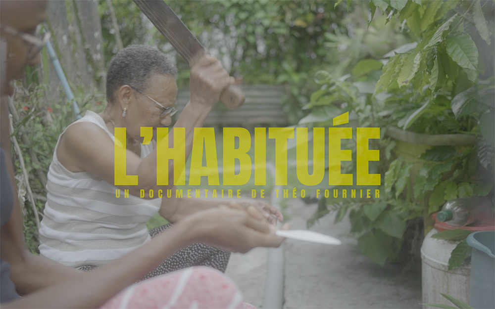 Mémoire empoisonnée : notre documentaire sur le Chlordécone