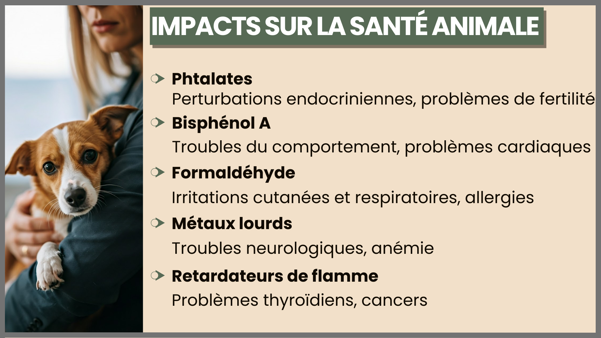 IMPACTS SUR LA SANTÉ ANIMALE Phtalates Perturbations endocriniennes, problèmes de fertilité Bisphénol A Troubles du comportement, problèmes cardiaques Formaldéhyde Irritations cutanées et respiratoires, allergies Métaux lourds Troubles neurologiques, anémie Retardateurs de flamme Problèmes cancers