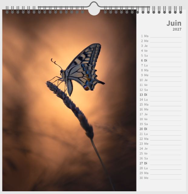 Calendrier 2027 : Beautés discrètes de la nature