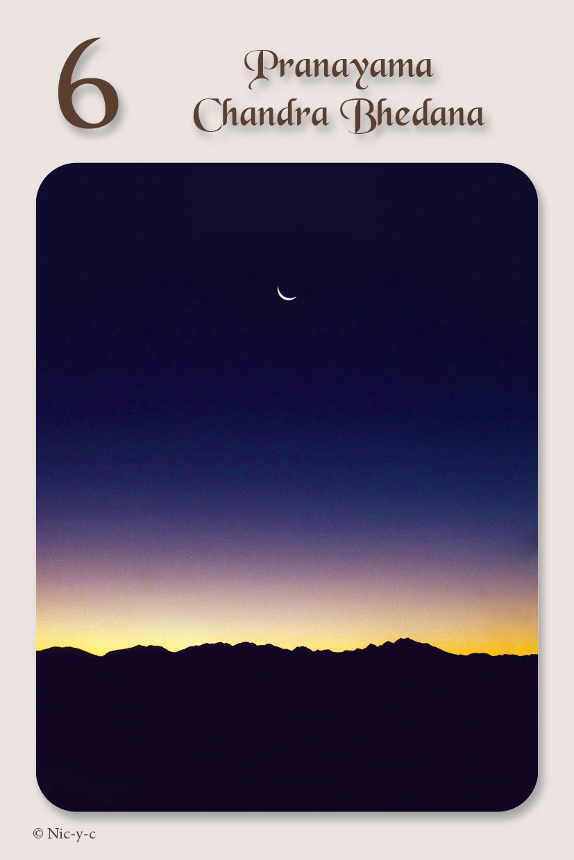 L'Oracle le Cocon-Yoga-Deuil Périnatal - Ulule