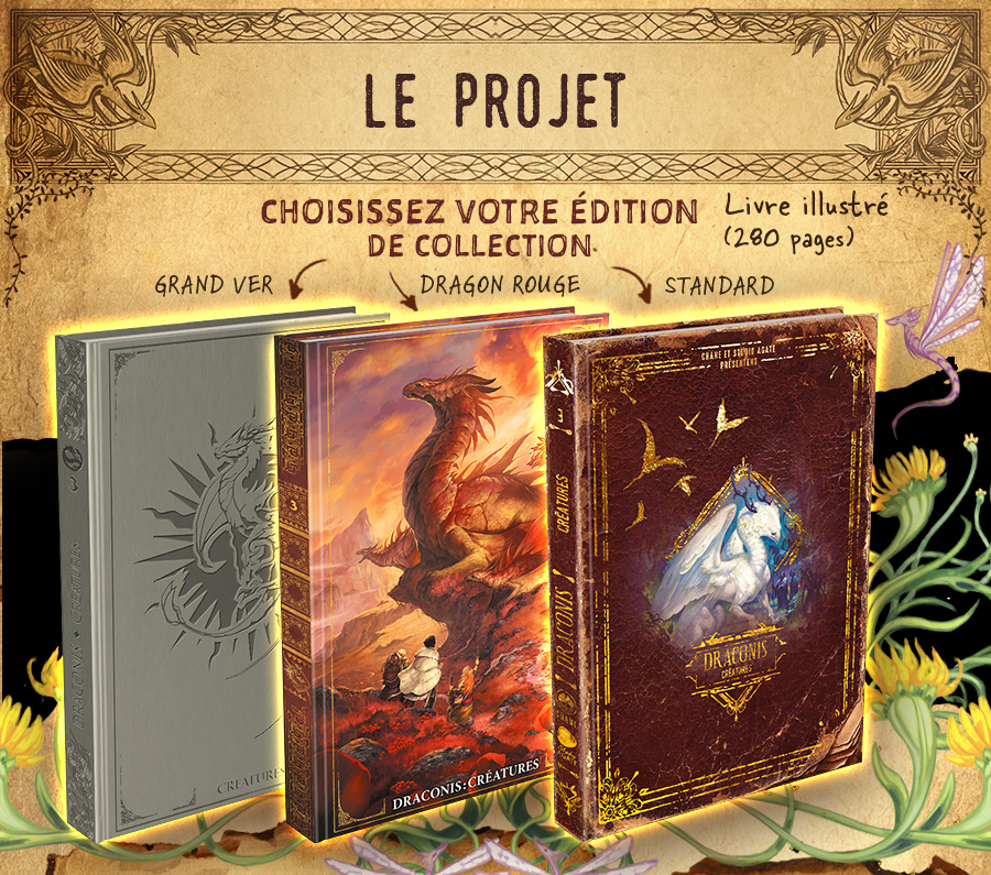 Jeu De Rôle Draconis : L'appel De L'aventure (Édition Standard) FR, Agate