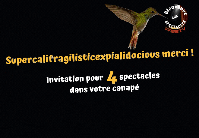 BIENVENUE AUX SPECTACLES