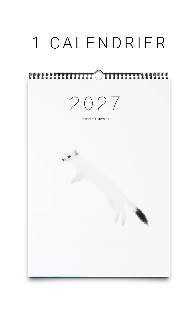 calendrier-2027