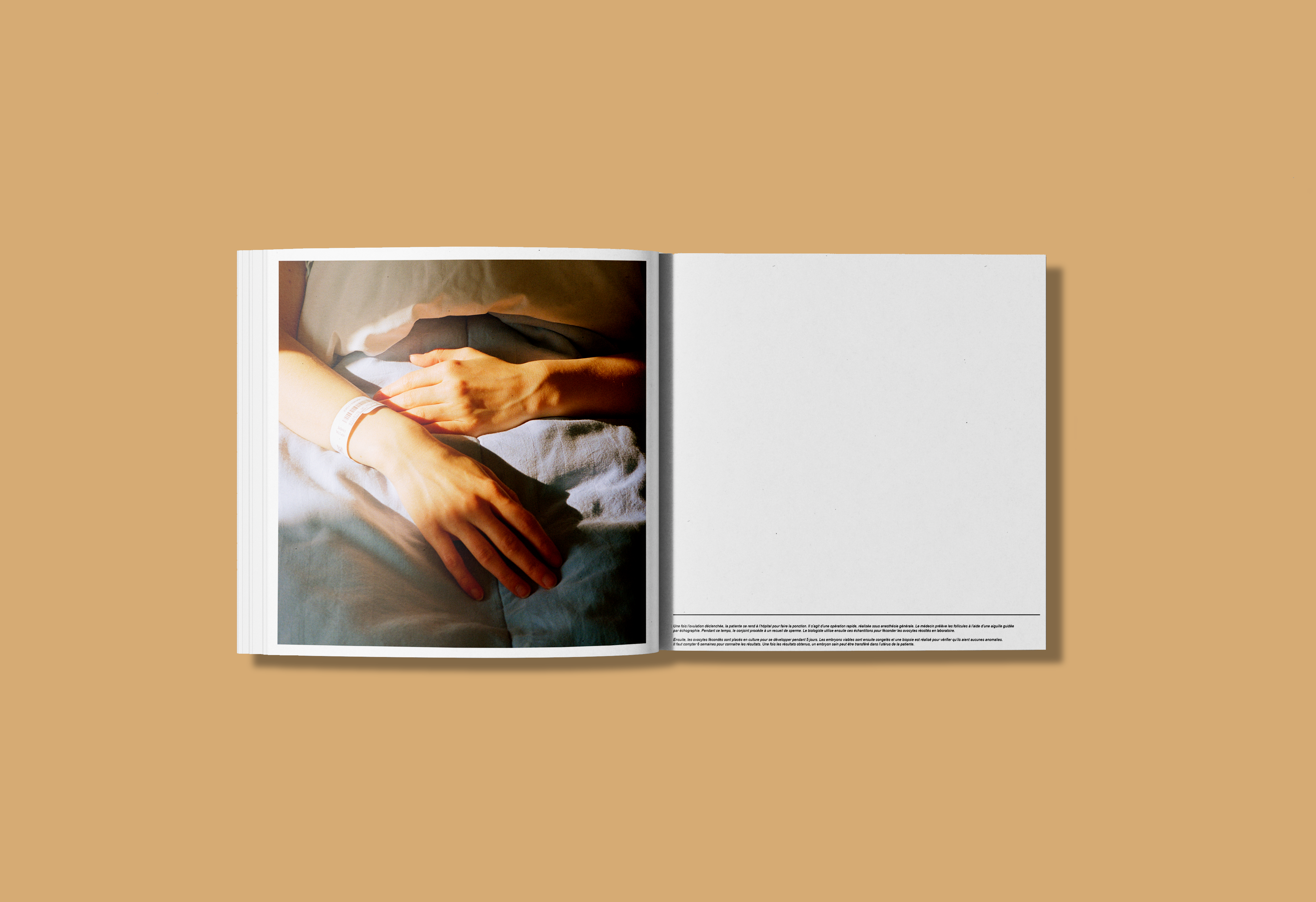 I'VE ALWAYS WANTED TO BE A MOM - Valentine de Villemeur - Ulule