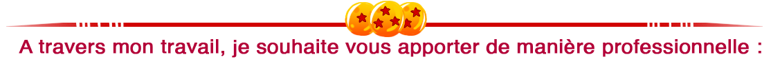A travers mon travail, je souhaite vous apporter de manière professionnelle
