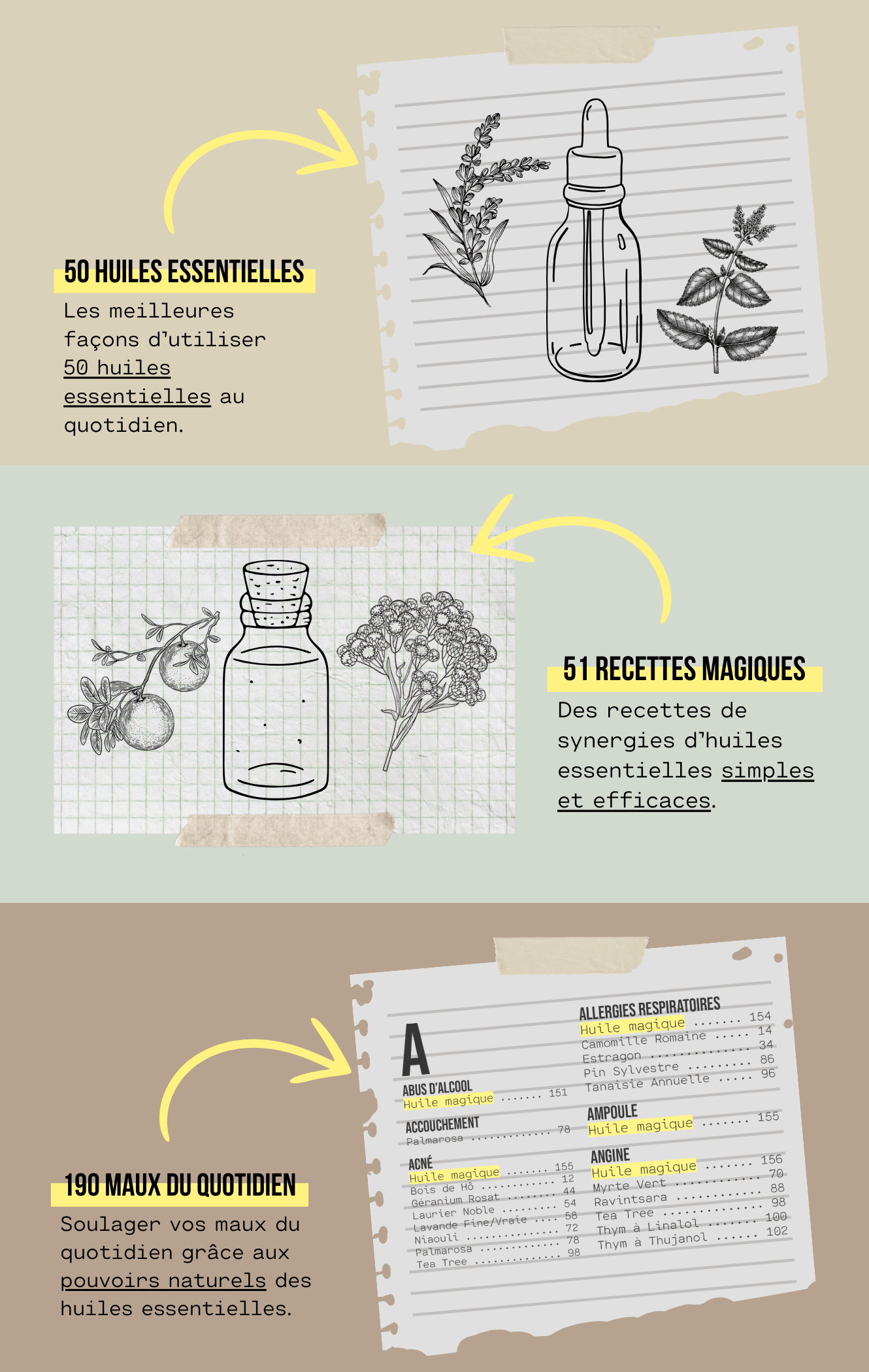 Les huiles essentielles au quotidien Ulule — free download