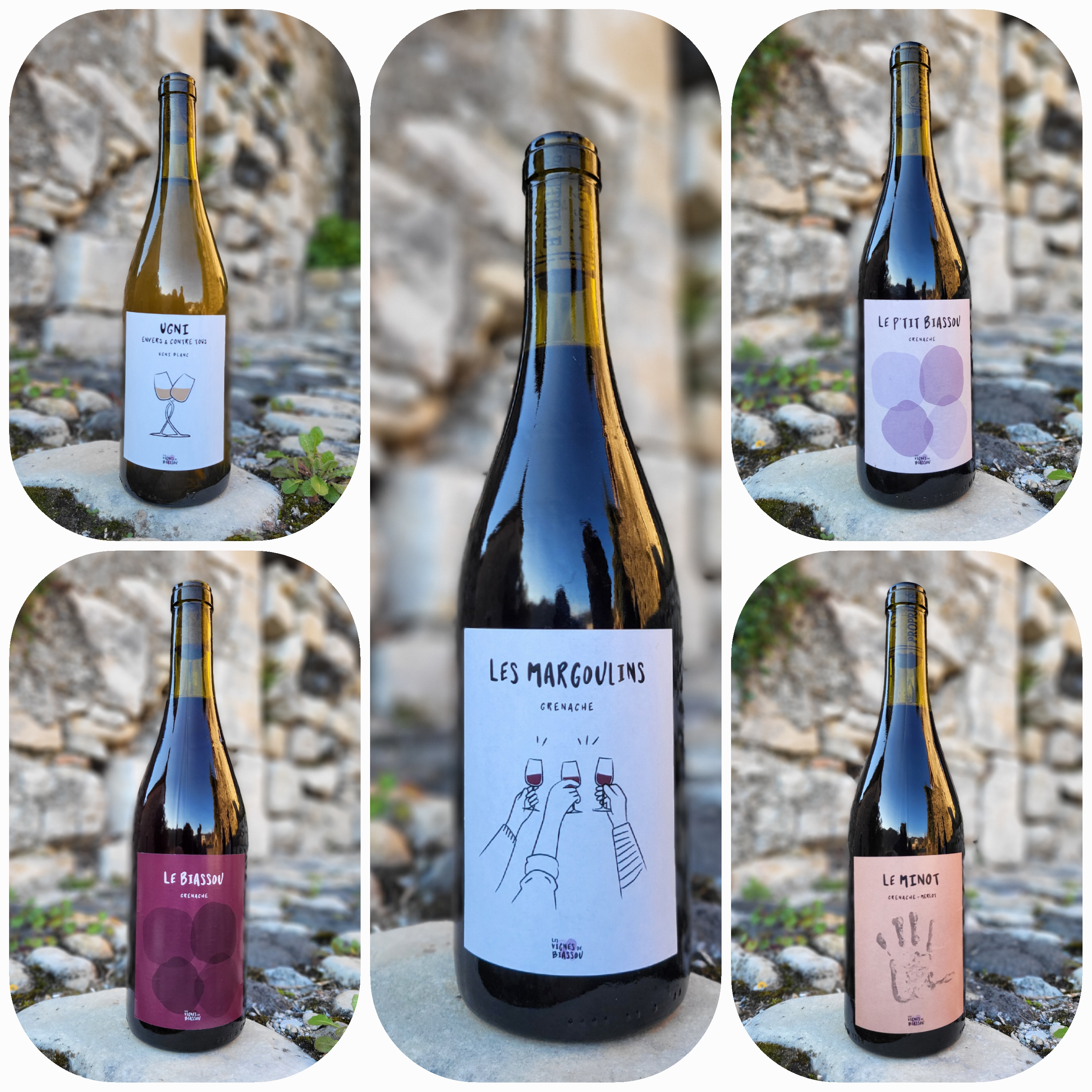 Les Vignes de Biassou - Laura & Camille - Ulule