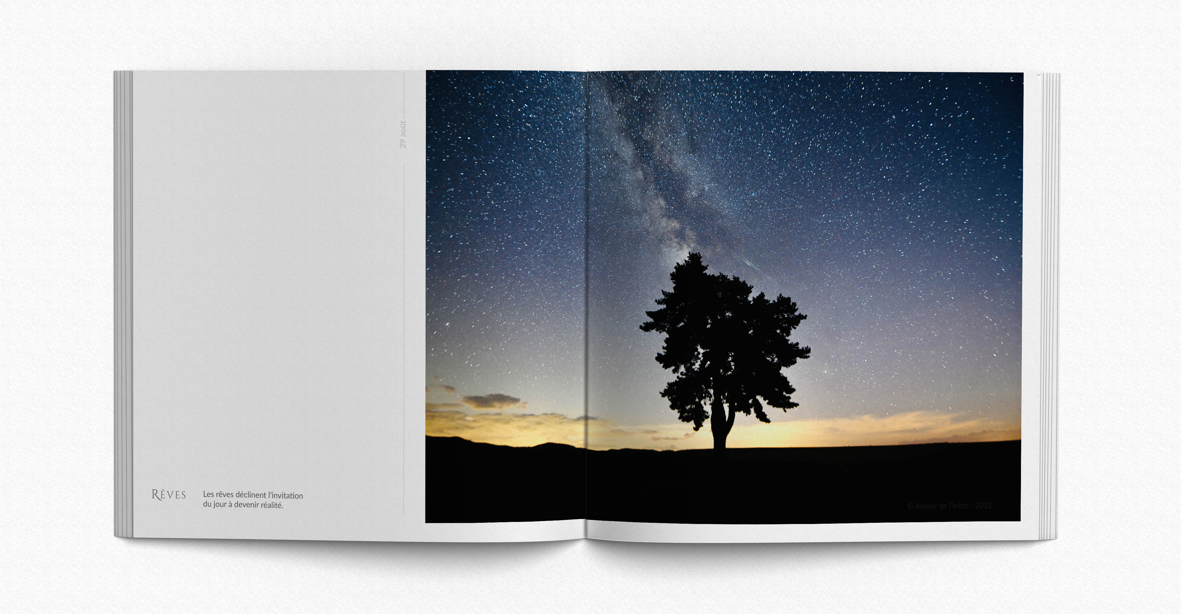 Lot De 3 Arbres Différents Quiralu Alu - Voir Photos - Occasion