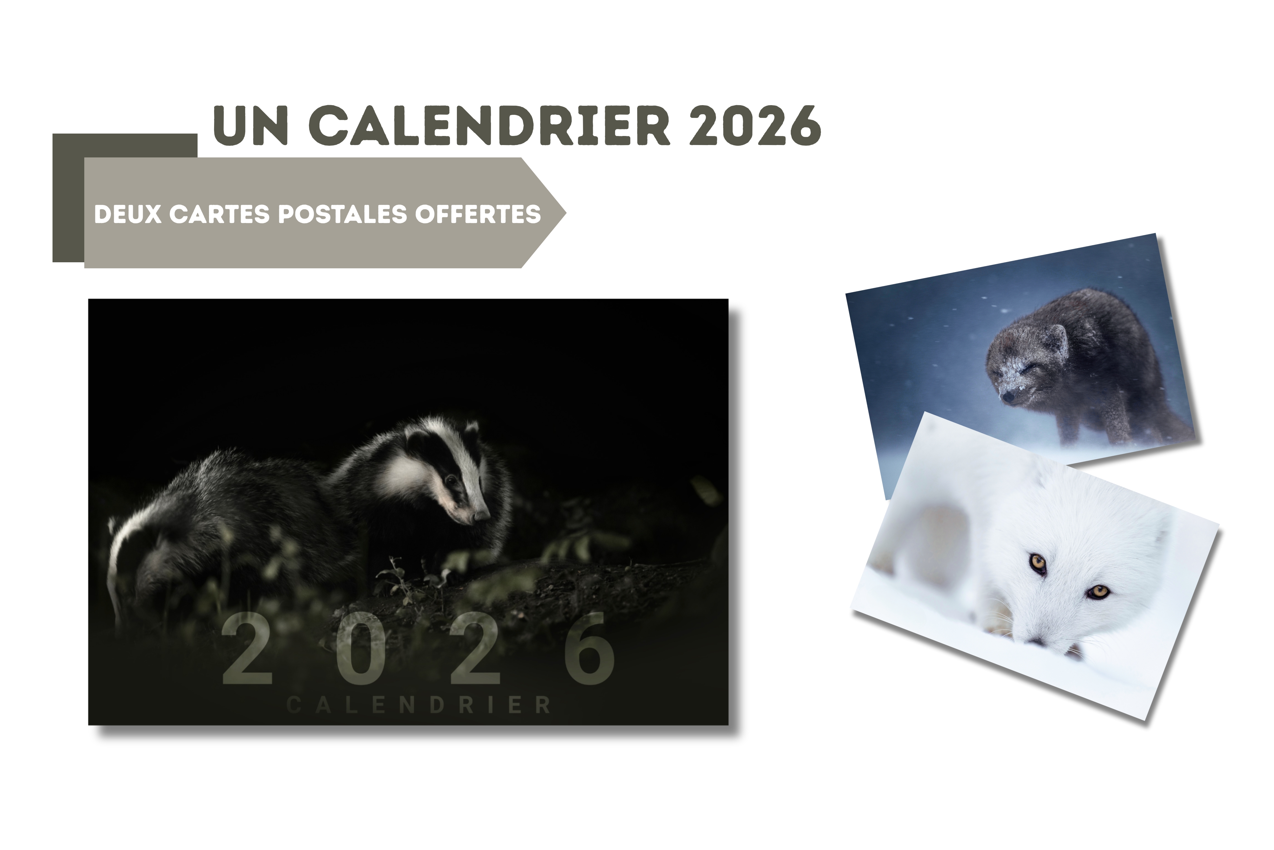Les Carnets De L’Apothicaire Calendrier 2026-2027 – Agenda Mensuel 24 Mois – Vue Annuelle – Organisation Famille/Bureau – Spirale