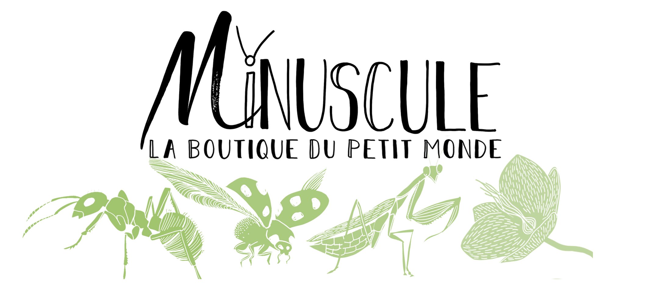 Minuscule : Le musée des insectes