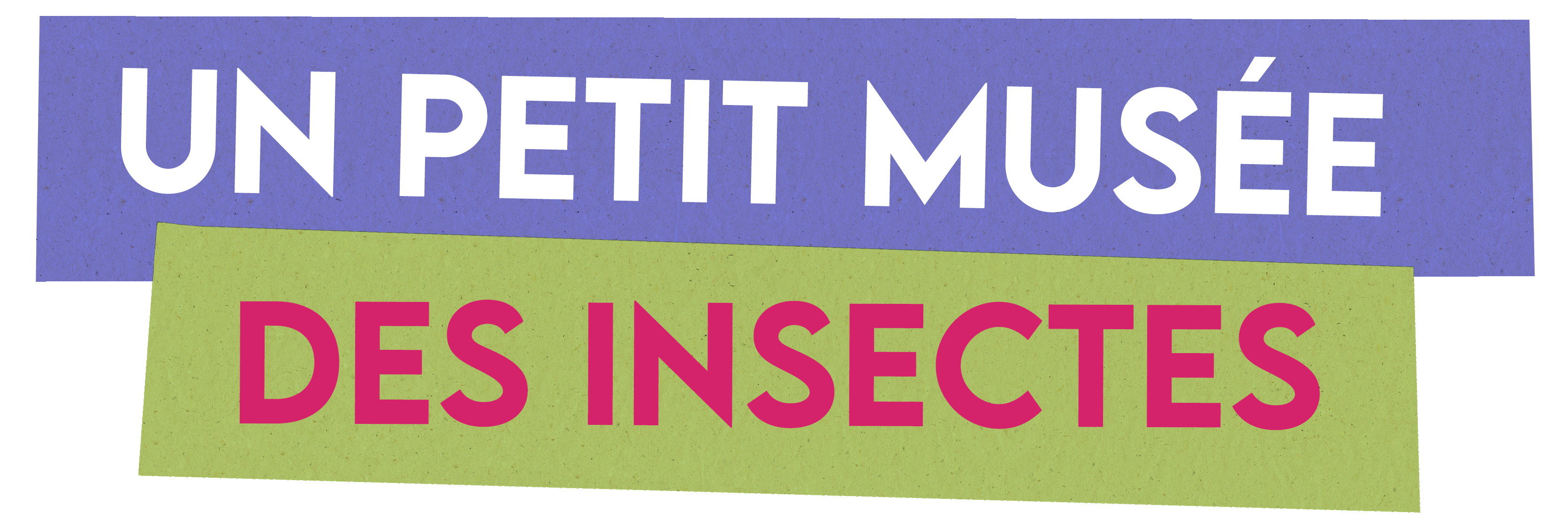Minuscule : Le musée des insectes