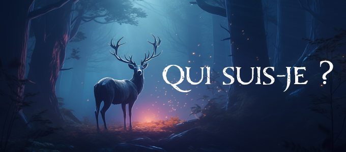 QUI SUIS-JE ?